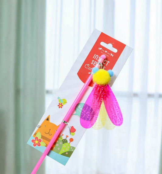 Amy&Carol Cat Teasers