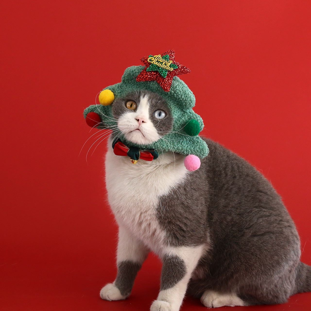Cat Christmas Headpiece – Head Circumference 35 cm