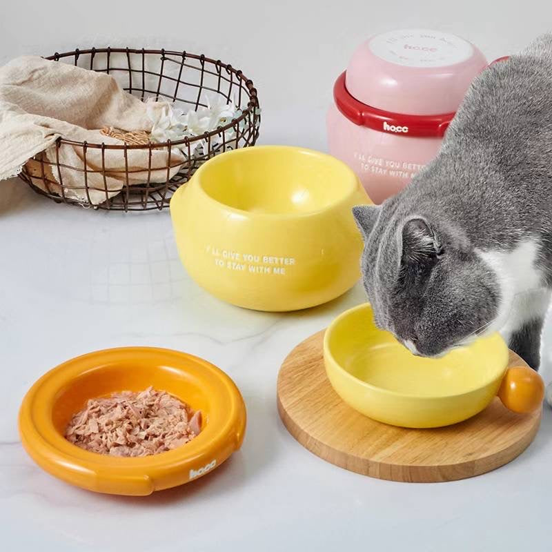 Honey Pot Cat Bowl Set – 3-in-1 Multi-Functional