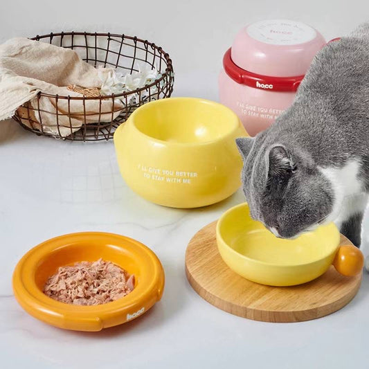 Honey Pot Cat Bowl Set – 3-in-1 Multi-Functional