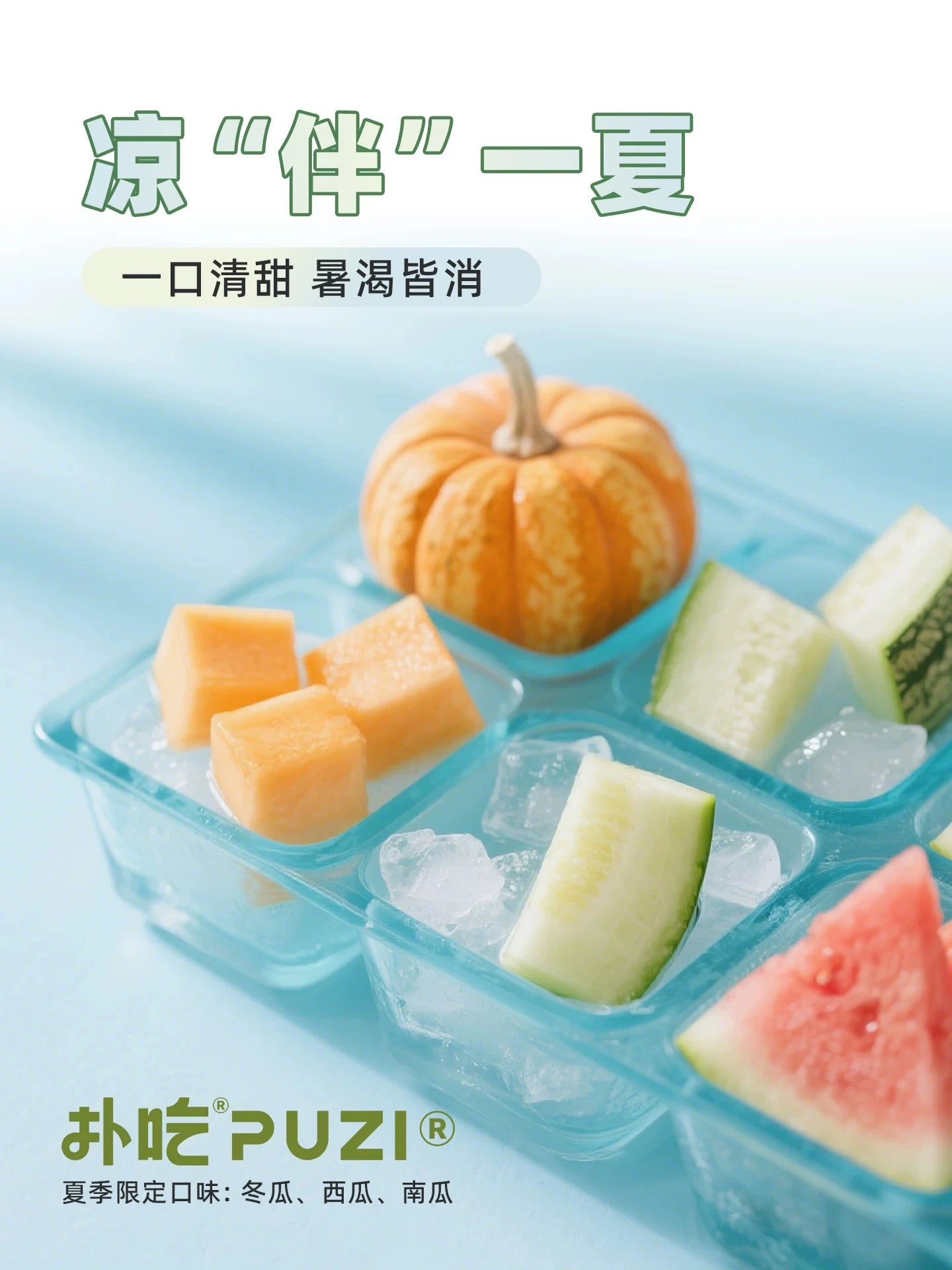 Puzi Summer Organic Hydrating Soup Pack (85g) - Winter Melon, Watermelon, Mung Bean, Duck Meat, Pet Cat & Dog Hydration Soup Pack
