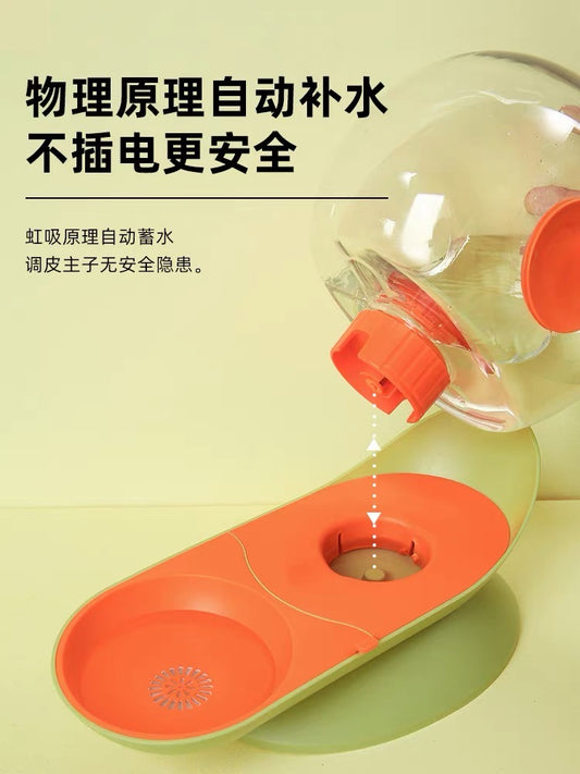 Snail Pet Water Fountain