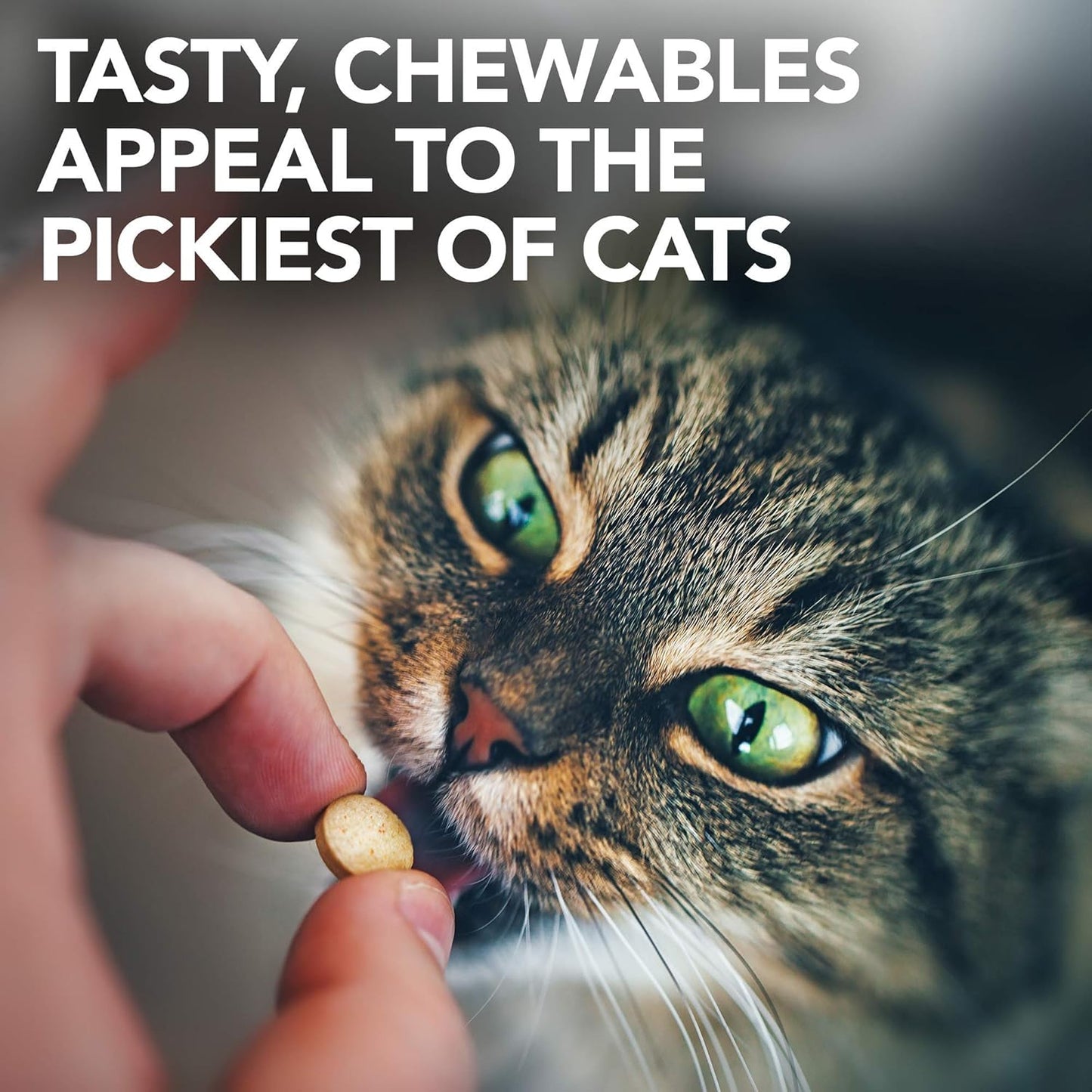 Vet's Best Feline Urinary Tract Support Cat Supplements, 60 Chewable Tablets