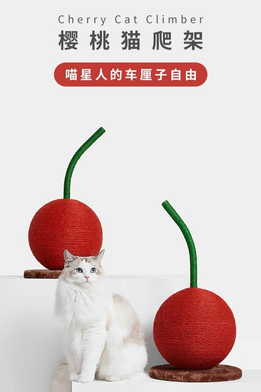 樱桃猫攀爬架