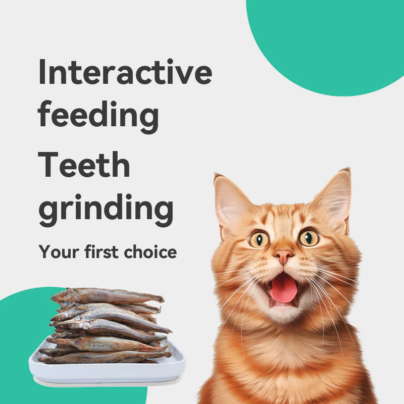 Ranova Capelin Freeze-Dried Dog & Cat Treats, 40g bag