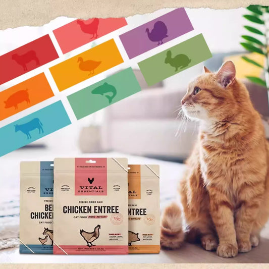 Vital Essentials Freeze-Dried Raw Protein Mini Patties