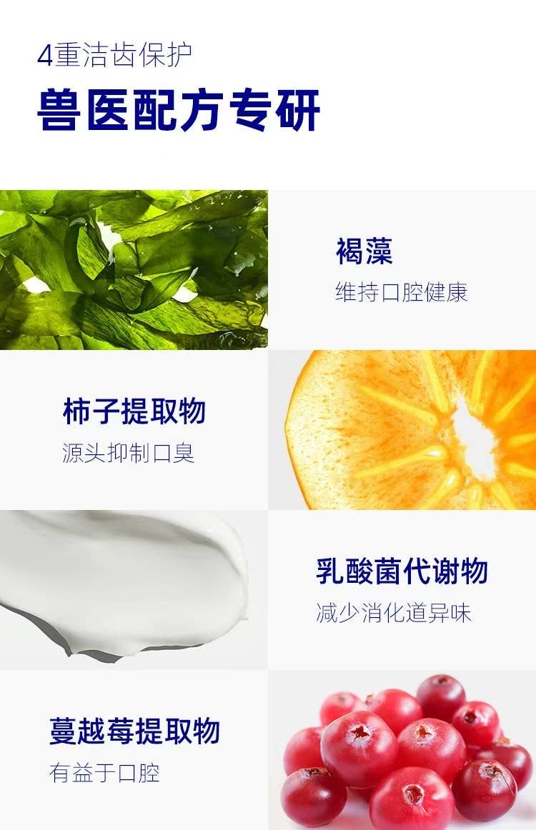 Cacture Dental Cleaning Powder