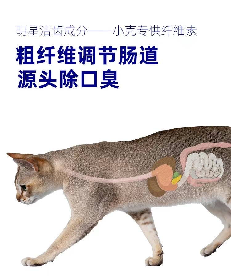 Cacture Dental Cleaning Powder