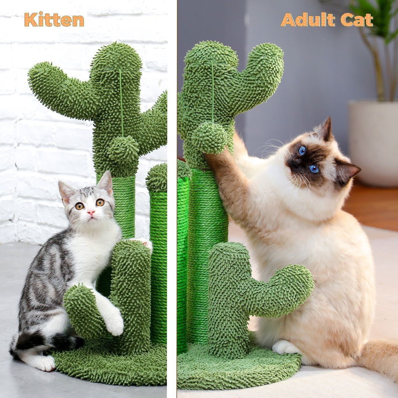 Cactus Cat Scratching Post