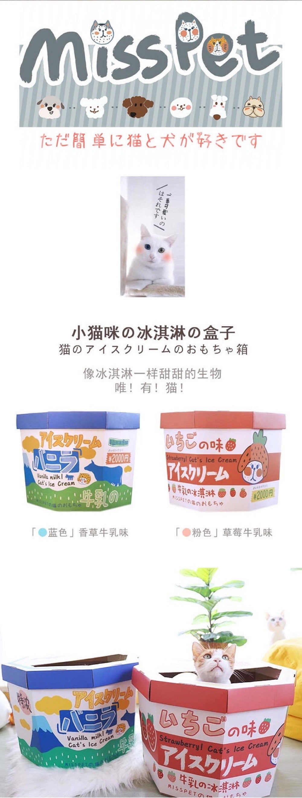 Ice Cream Scratcher Box